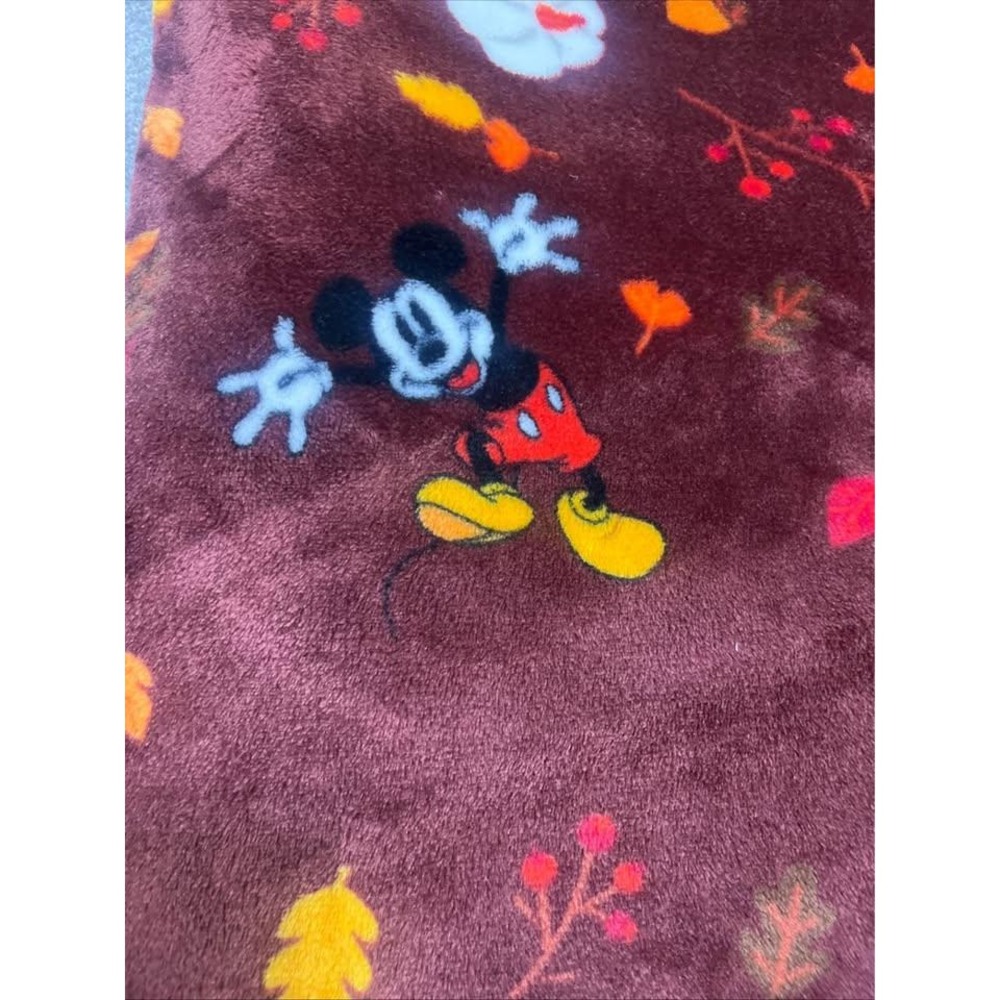The Big One Disney Mickey Minnie Mouse Fall Autumn Plush Throw Blanket Burgundy